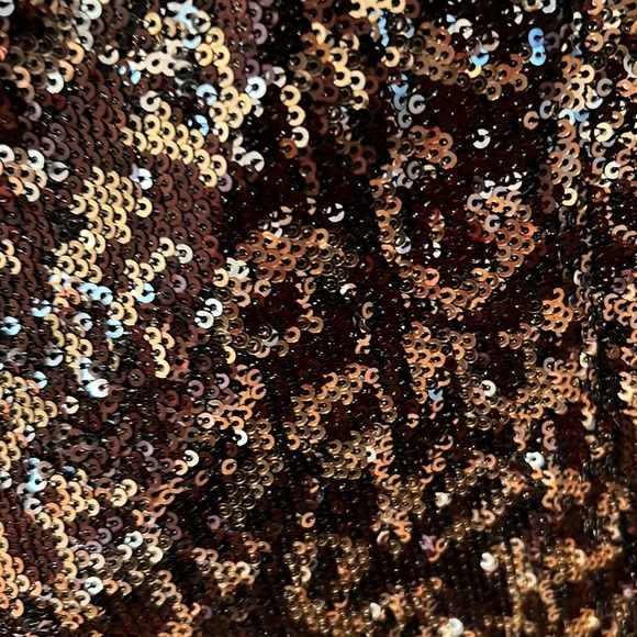 ZARA trf collection - Sequin Top size S - Picture 4 of 7